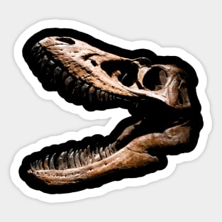 Carnivore skull Sticker